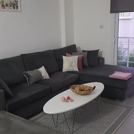 Luxury Flat In North